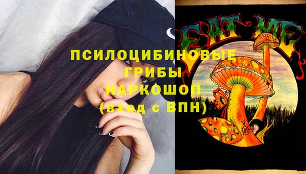 дмт Алзамай