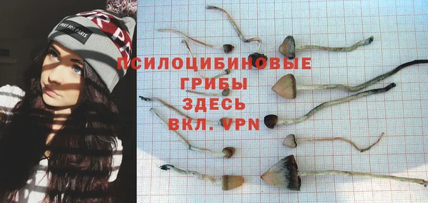 дмт Алзамай