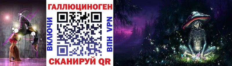 Галлюциногенные грибы Psilocybe Катав-Ивановск